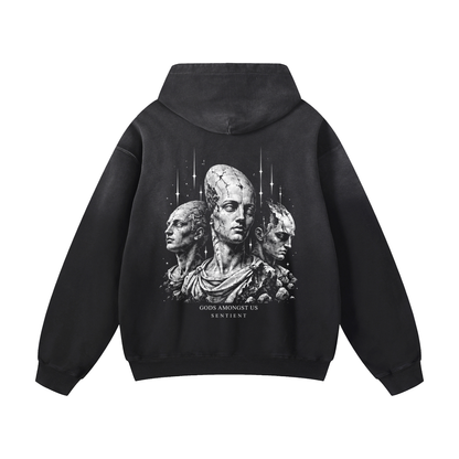 Gods Amongst Us Hoodie