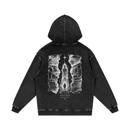 Disclosure: The Unredacted Hoodie