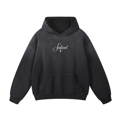 Gods Amongst Us Hoodie
